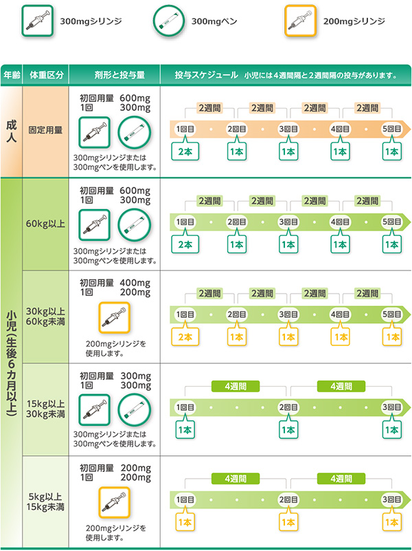 治療の流れ（投与の仕方）